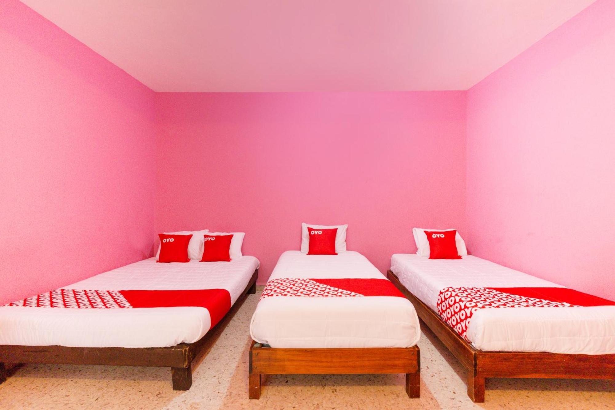 Oyo Hotel Emperador, オアハカ州 エクステリア 写真