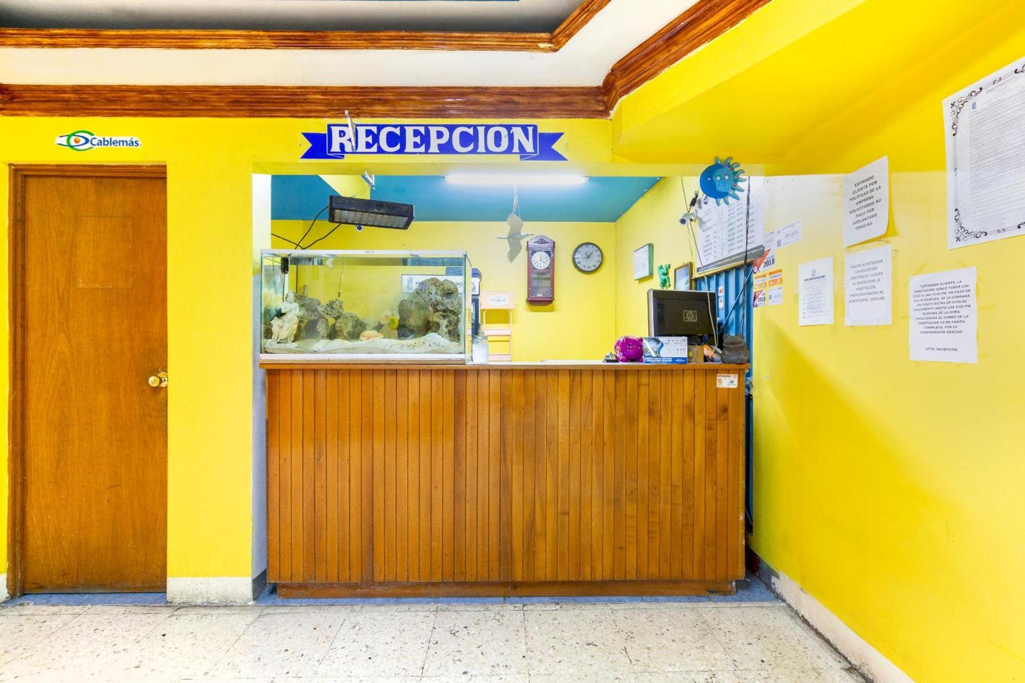 Oyo Hotel Emperador, オアハカ州 エクステリア 写真